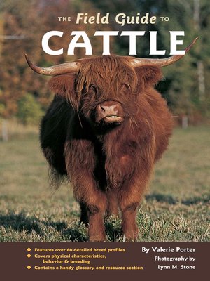 cover image of The Field Guide to Cattle